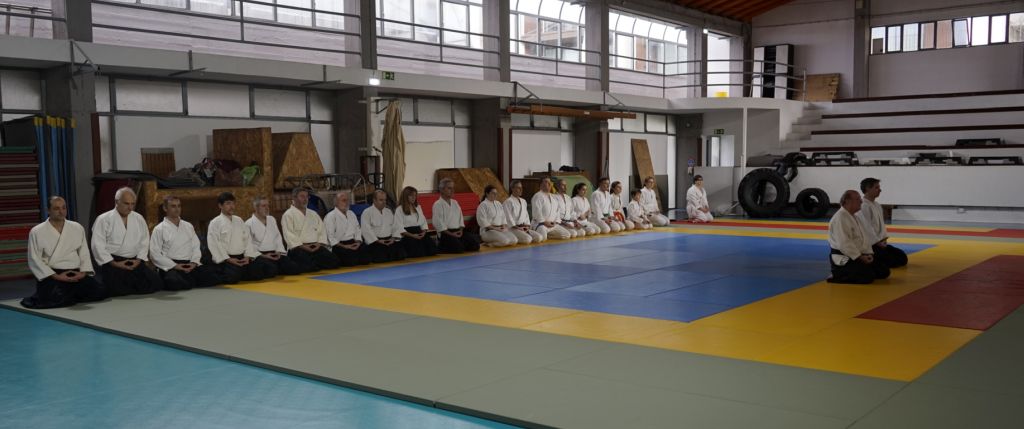 2026 tatami